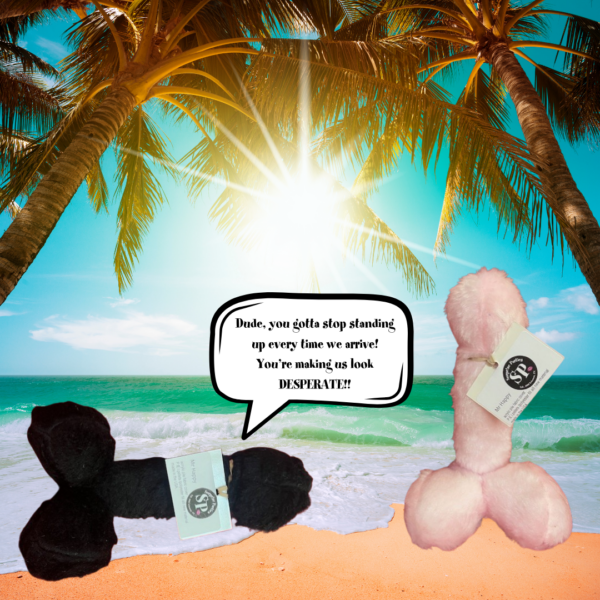 Mr. Happy Beach - Surprise Parties